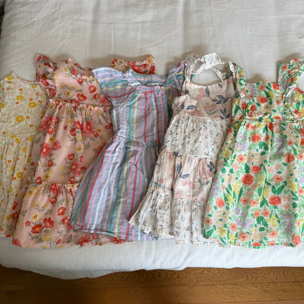 Lot of 5 Toddler Girl Dresses 3T Gap Cat & Jack Christian Siriano Floral Stripe